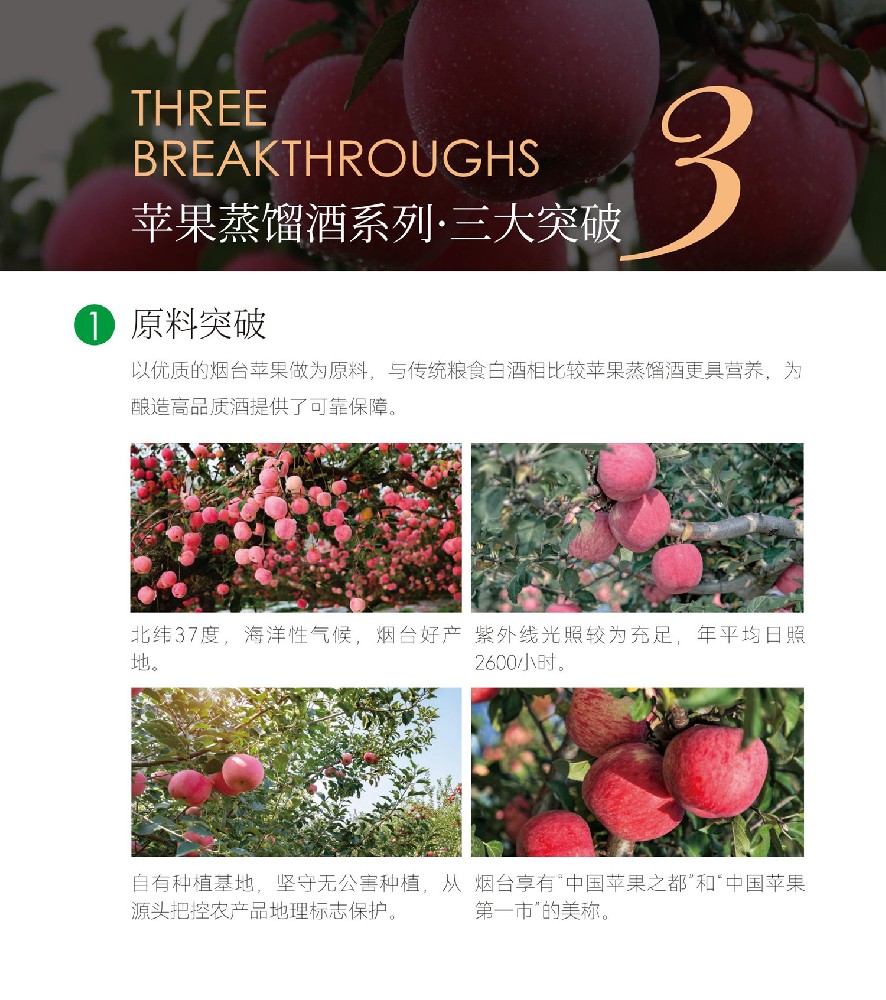 （中晟酒業）宣傳冊（PPT）_02_副本.jpg